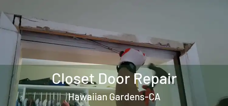  Closet Door Repair Hawaiian Gardens-CA